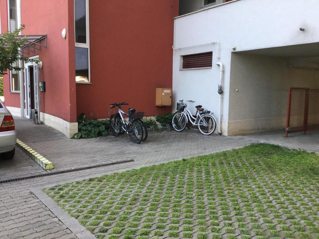Apartman 511 Σίοφοκ Εξωτερικό φωτογραφία